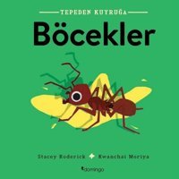 Tepeden Kuyruğa - Böcekler - Stacey Roderick - Domingo Yayınevi