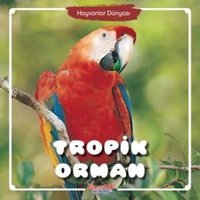 Hayvanlar Dünyası - Tropik Orman- Yumurcak Yayınları