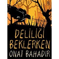 Deliliği Beklerken - Onat Bahadır - Everest Yayınları