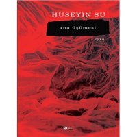 Ana Üşümesi - Hüseyin Su - Şule Yayınları