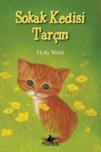 Pegasus Yayınları Sokak Kedisi Tarçın - Holly Webb