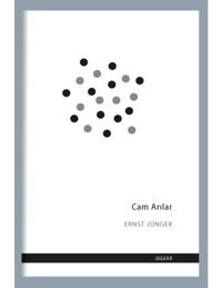 Cam Arılar - Ernst Jünger - Jaguar Kitap