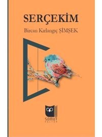 Serçekim - Bircan Kırlangıç Şimşek - Somut Yayın Dağıtım