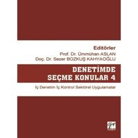 Denetimde Seçme Konular-4- Gazi Kitabevi