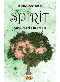 Spirit Şaşırtan Fikirler - Bora Baykan - Zet Yayınları