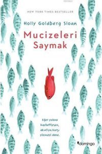 Domingo Yayınevi Mucizeleri Saymak