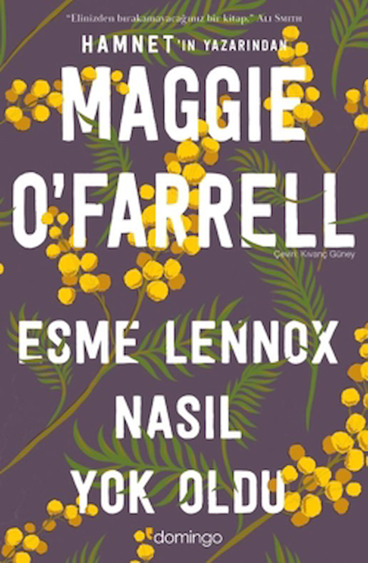 Esme Lennox Nasıl Yok Oldu / Maggie O'Farrell / Domingo Yayınevi / 9786051983561