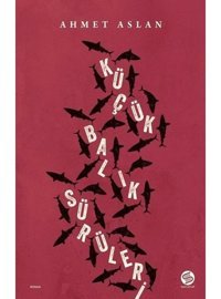 Küçük Balık Sürüleri - Ahmet Aslan - Sahi Kitap