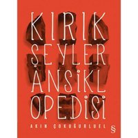 Kırık Şeyler Ansiklopedisi - Akın Çokuğurluel - Everest Yayınları
