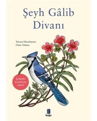 Şeyh Galib Divanı-Ölümsüz Klasikler- Kapı Yayınları
