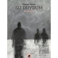 Su Duydum - Hasan Sever - Ayrıntı Yayınları