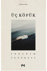 Profil Kitap Üç Köpük, Ibrahim Tenekeci, , Üç Köpük Kitabı, 46 Sayfa