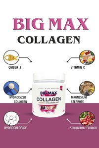 Big Max Multi Collagen Powder Toz Kolajen 300 gr