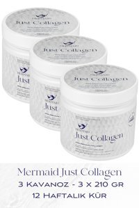 Mermaid Collagen Just Collagen Toz Kolajen 3x210 gr