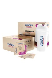 Validus Saşe Kolajen