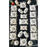 Venüs Home Decoratıon Yaprak Desenli 23 Parça 12 Kişilik Seramik Kahvaltı Takımı Beyaz-Siyah