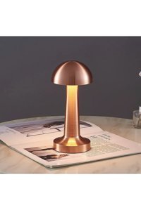 Fico Home Modern Led Bakır Bronz Tekli Metal Tek Ayak Abajur Bakır