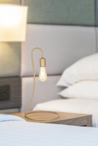 Apliqa Rose Tekli Cam Tek Ayak Abajur Gold