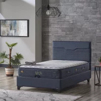 Armis Neon 150 x 200 cm Yataklı Başlıklı Çift Kişilik Sandıklı Baza Seti Lacivert