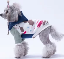 Pawstar Rio Kedi Köpek Hoodie Mınt
