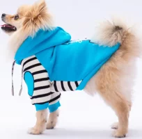 Turkuaz Lucky Club Kedi Köpek Hoodie