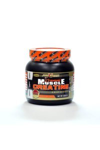 Maximus Nutrition Muscle Creatine Portakal Aromalı Toz Kreatin 419 gr