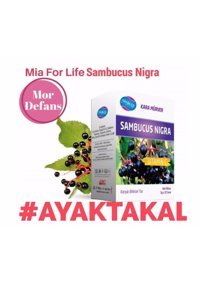Mia For Life Sambusuc Nigra Karamürver Yetişkin 20 Adet