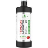 Torq Nutrition Çilek Aromalı L-Karnitin 1000 ml Sıvı