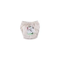 Babixkids 19 kg Tekli Sızdırmayan Yıkanabilir Panda Desenli Alıştırma Külodu