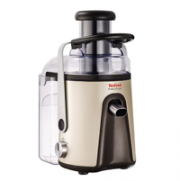Tefal Easy Fruit Premium 700 W 1250 ml Gümüş Katı Meyve Sıkacağı