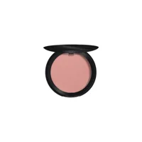Farmasi Tender Blush On 15 Işıltılı Toz Allık