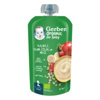 Gerber Tahıllı Organik Meyveli Yulaflı Kaşık Maması 110 gr