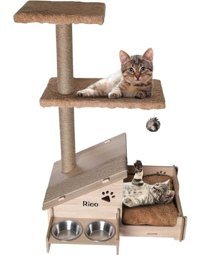 RealWood Çok Amaçlı Katlı Kedi Oyun Evi-İsim Baskılı-Ahşap MDF-Tırmalama Çubuklu-Kahverengi-Çelik Kase-2*350