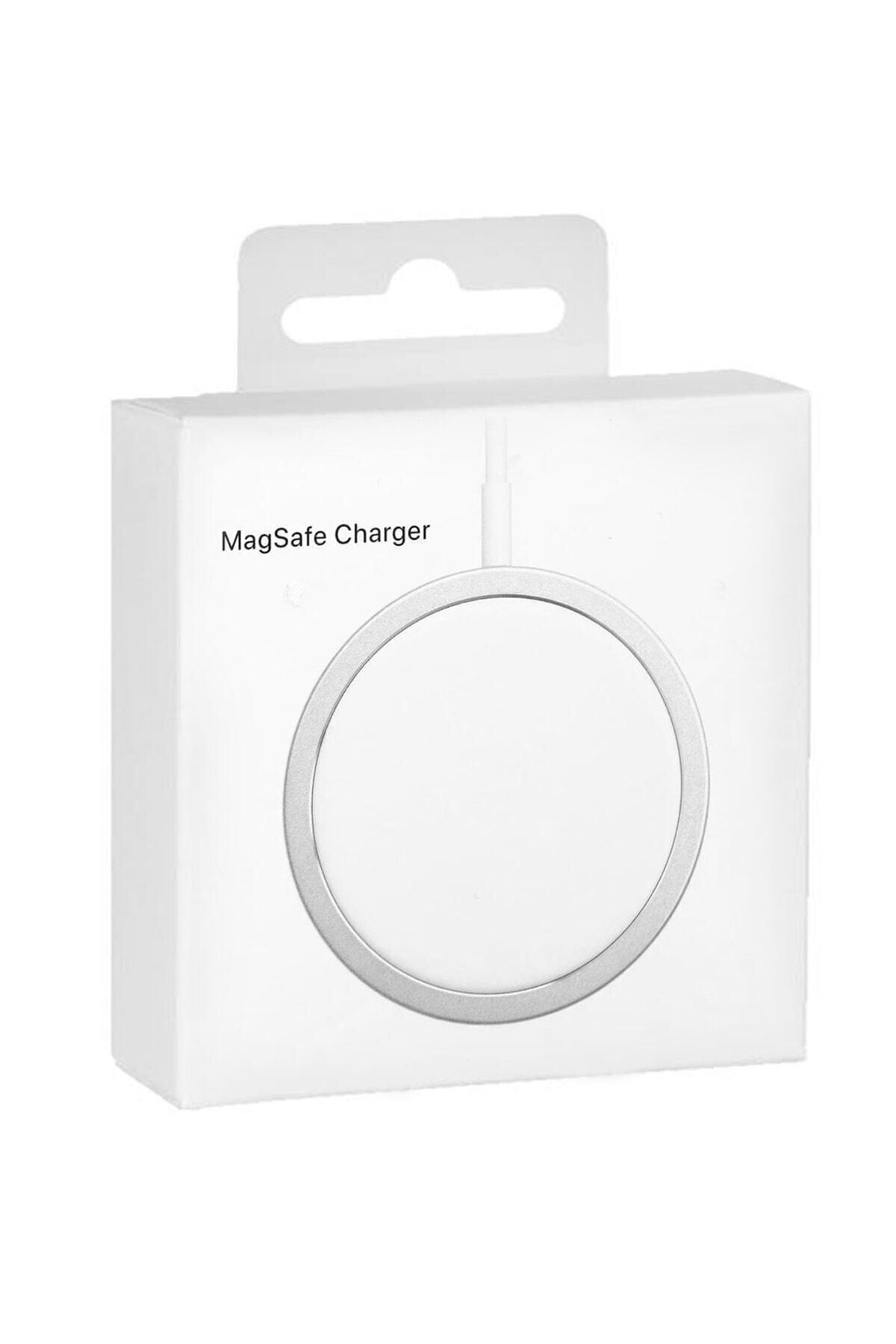 Dexover iPhone Lightning Kablolu 20 W Hızlı Şarj Aleti Beyaz