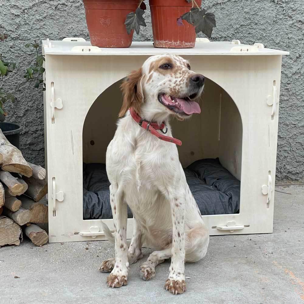 Odunconcept Kulübe Küçük Irk Dış Mekan Köpek Yatağı Beyaz