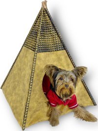 Kemique Küçük Irk İç Mekan Köpek Yatağı Sarı-Siyah