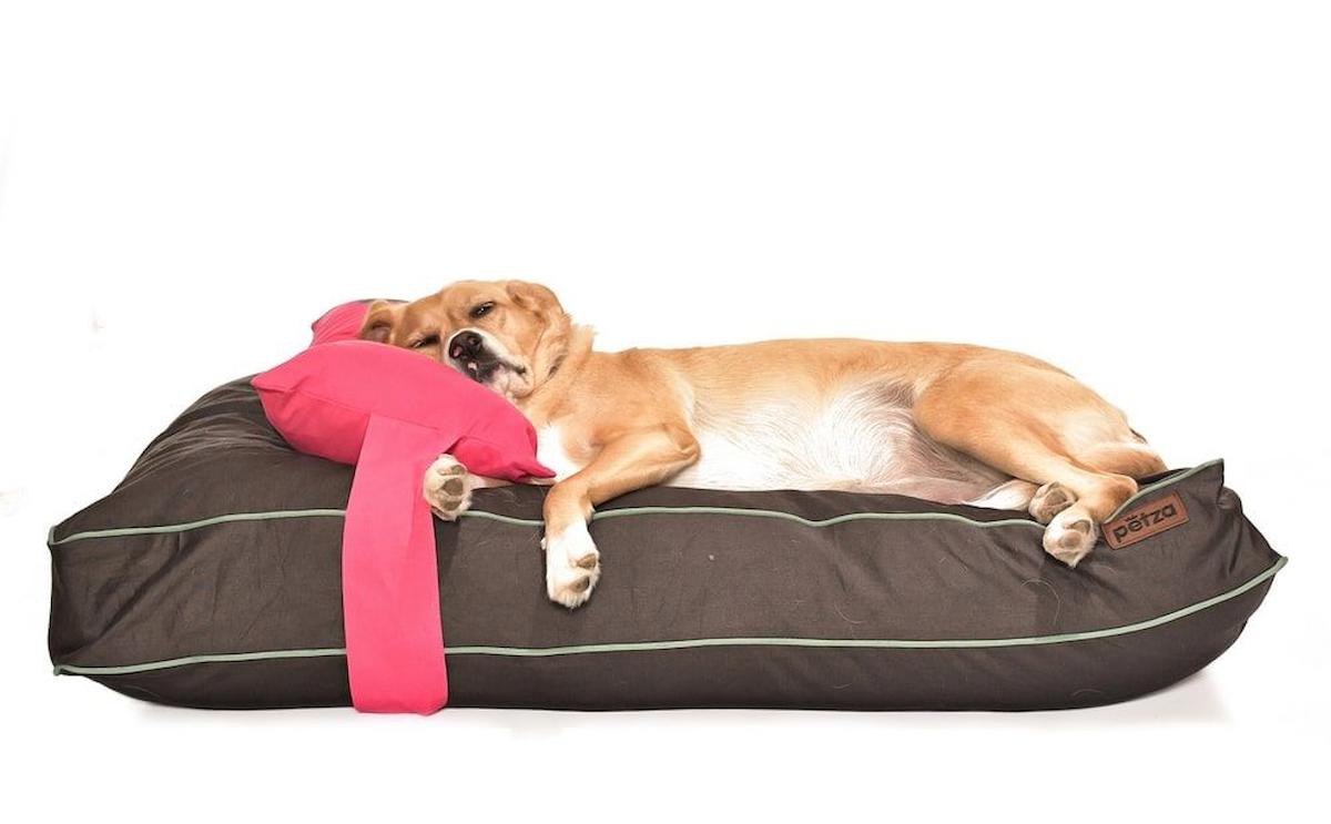 Petza Büyük ve Orta Irk İç Mekan Köpek Yatağı Antrasit-Pembe