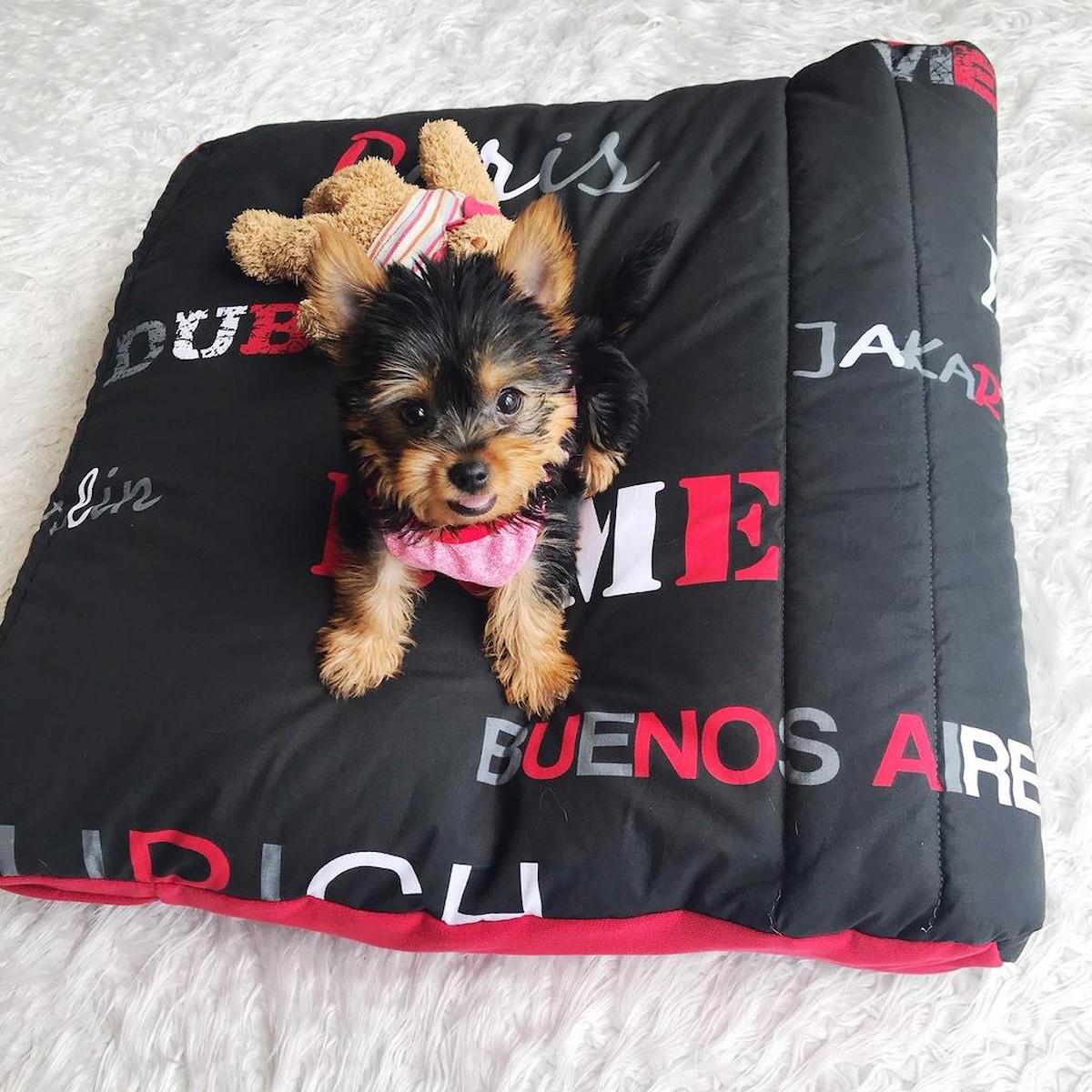 Kemique Rome Buenos Aires Orta Irk İç Mekan Köpek Yatağı Siyah