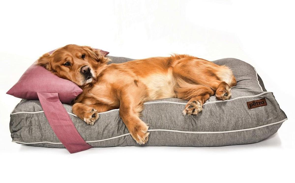 Petza Xandro L Büyük ve Orta Irk İç Mekan Köpek Yatağı Gri-Pembe