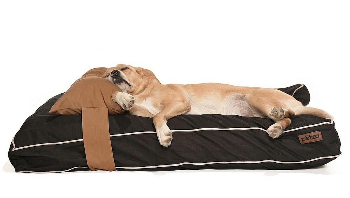 Petza Baneta L Büyük ve Orta Irk İç Mekan Köpek Yatağı Kahverengi-Siyah