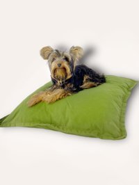 Kemique Square Küçük Irk İç Mekan Köpek Yatağı Yeşil