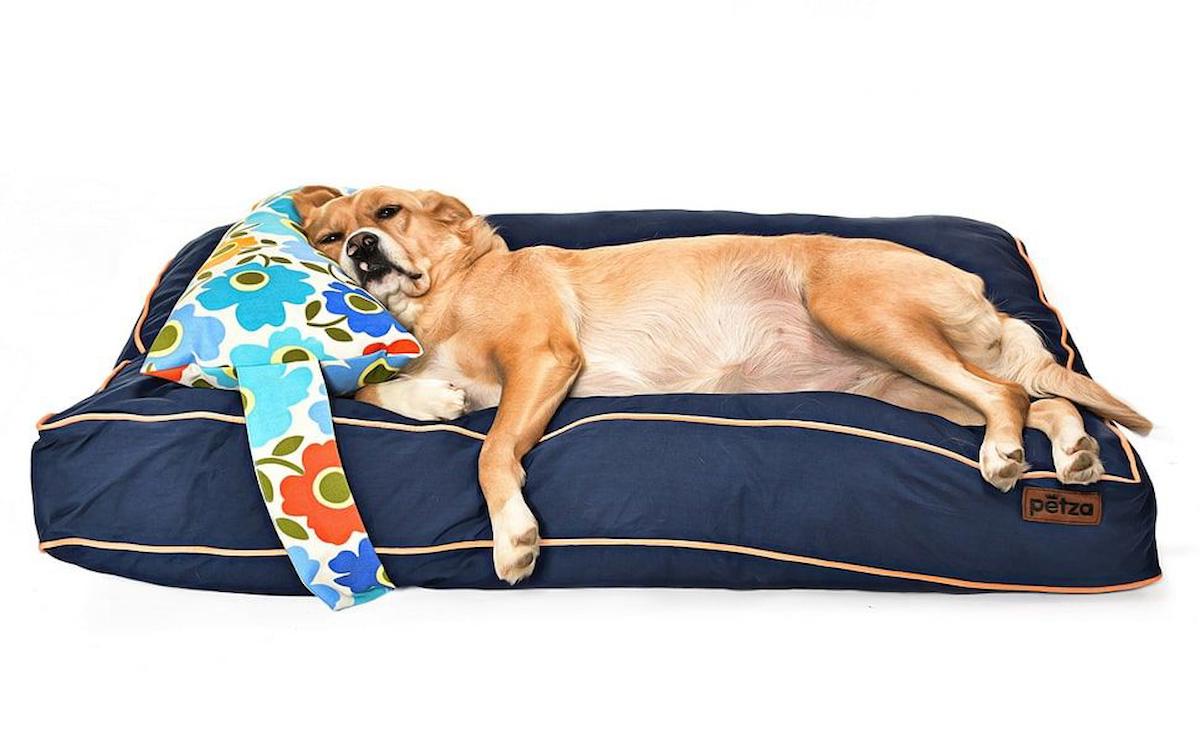 Petza Nyota L Büyük ve Orta Irk İç Mekan Köpek Yatağı Lacivert