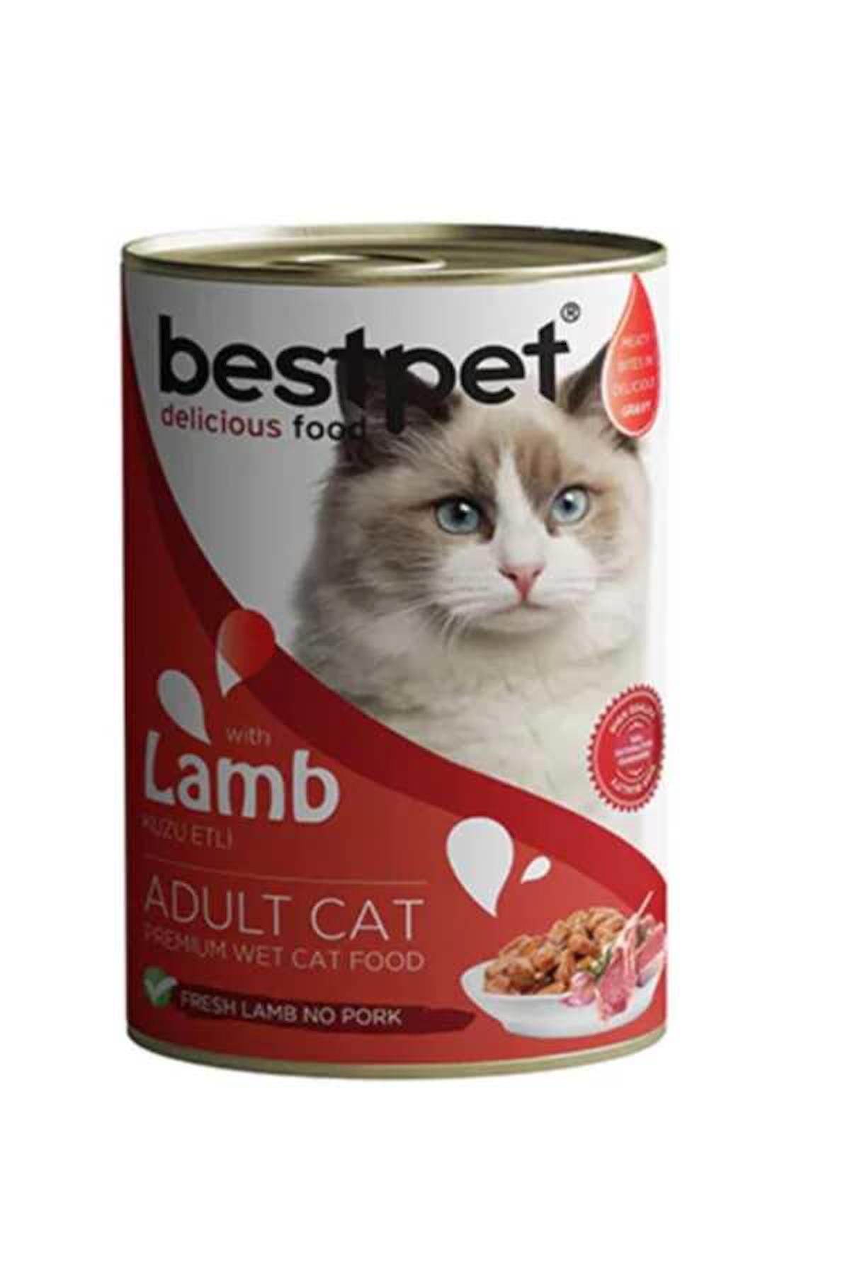 Bestpet Lamb Kuzu Etli Jöleli Yetişkin Yaş Kedi Maması 400 gr