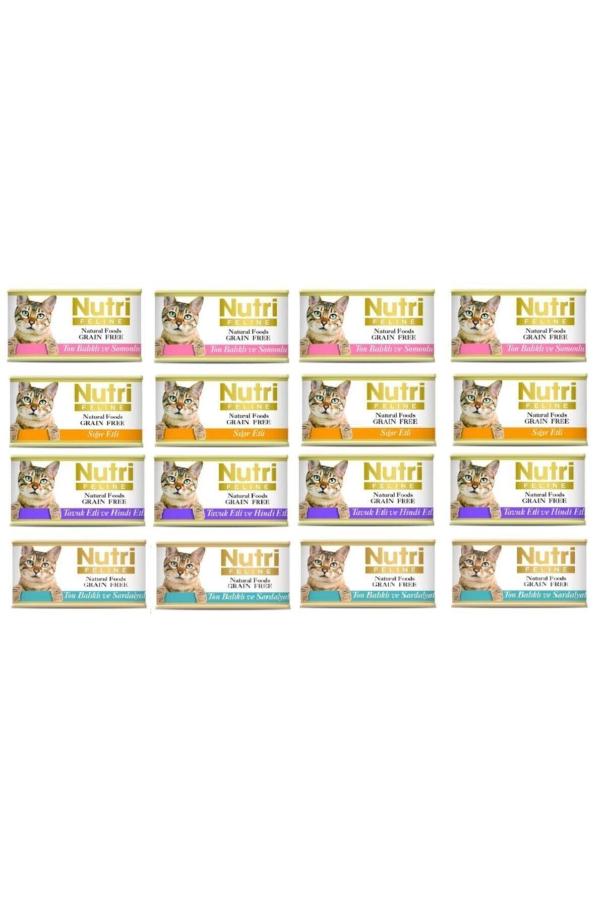 Nutri Feline Grain Free Karışık Yetişkin Yaş Kedi Maması 16x85 gr