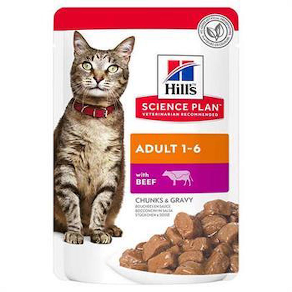 Hill's Chunks & Gravy Biftekli Yetişkin Yaş Kedi Maması 85 gr