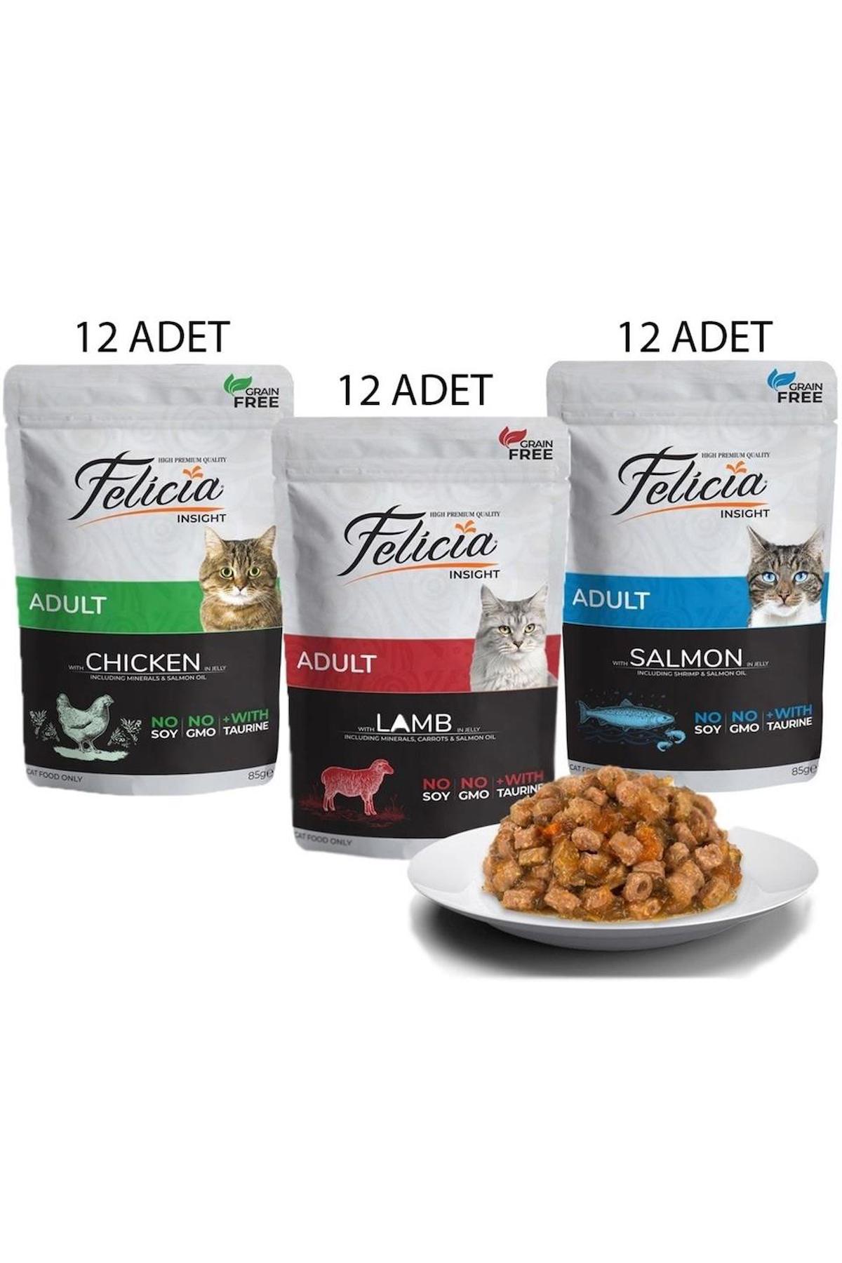 Felicia Insight Yetişkin Yaş Kedi Maması 12x85 gr