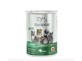 Teodor Sağlıklı Büyüme Kuzu Etli Parça Etli Soslu Yetişkin Yaş Kedi Maması 400 gr