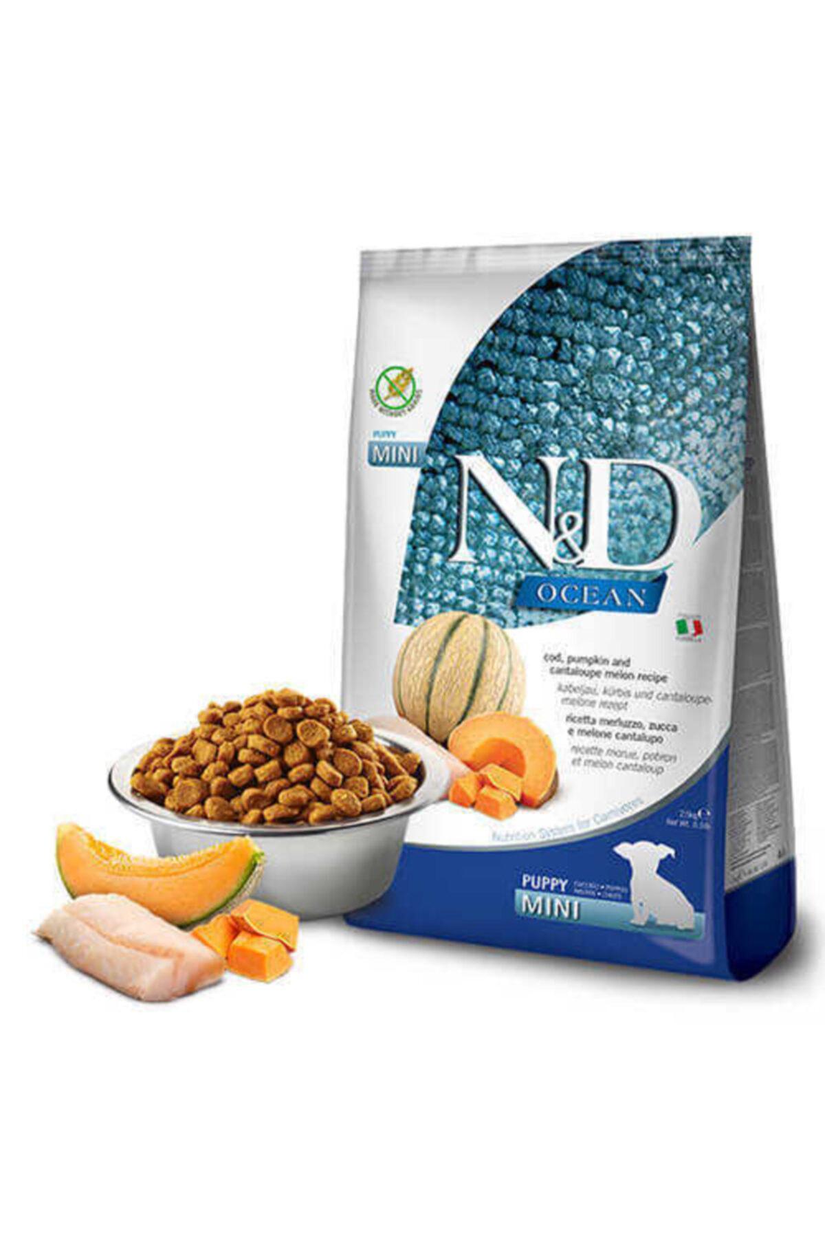 N&D Ocean Bal Kabaklı ve Kavunlu Mini Irk Yavru Kuru Köpek Maması 2.5 kg