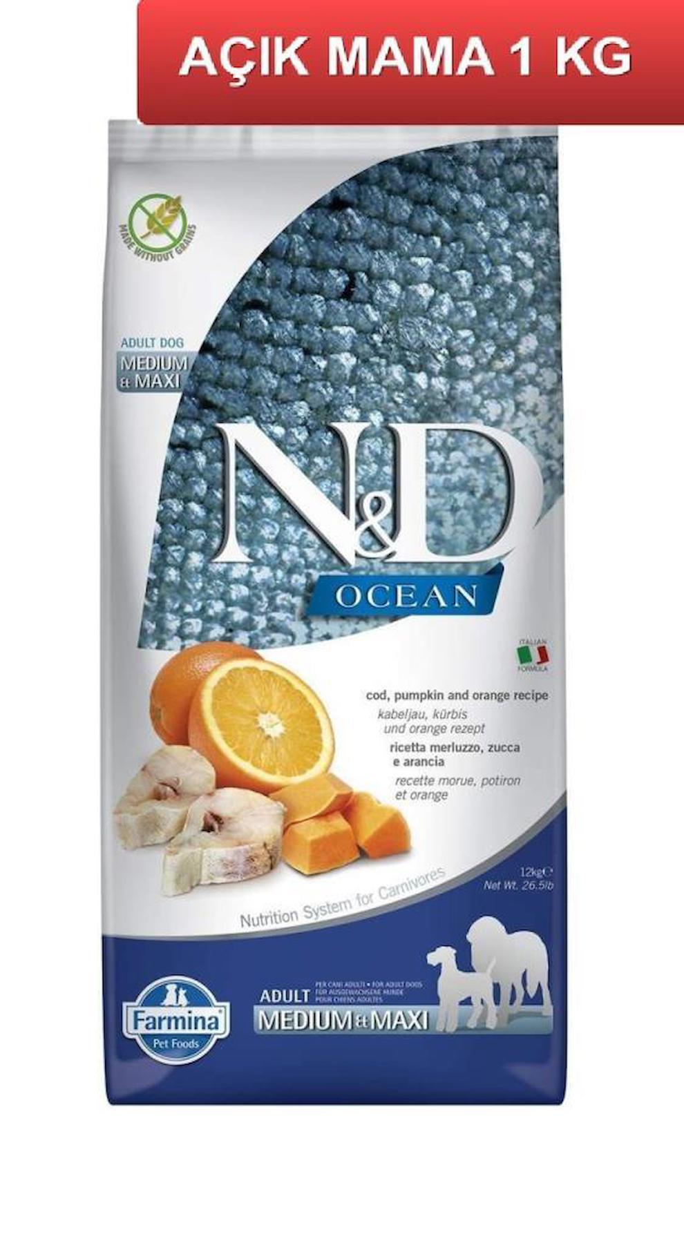 N&D Ocean Bal Kabaklı Büyük ve Orta Irk Yaşlı Kuru Köpek Maması 1 kg