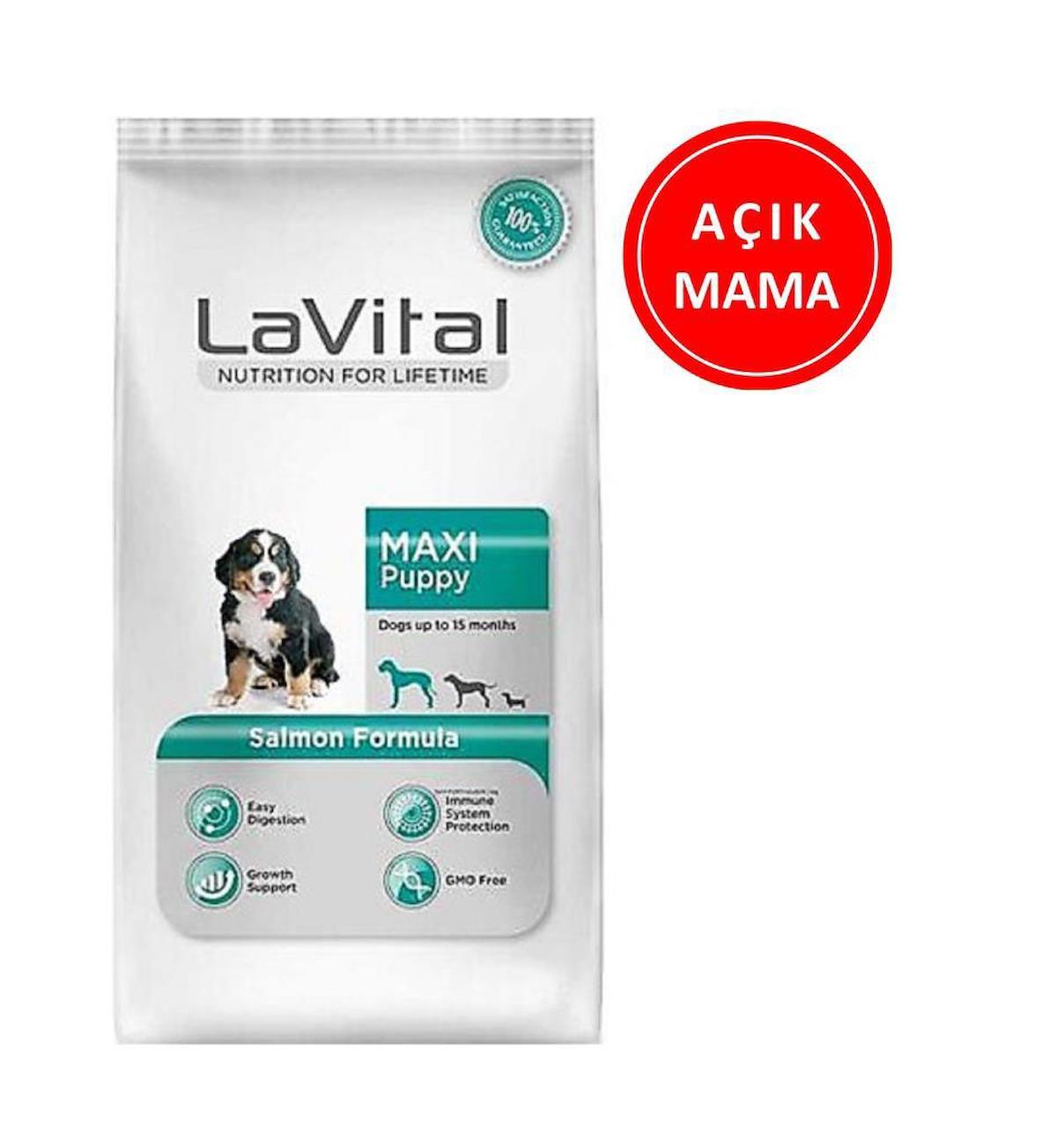 Lavital Maxi Somonlu Tüm Irklar Yavru Kuru Köpek Maması 1 kg